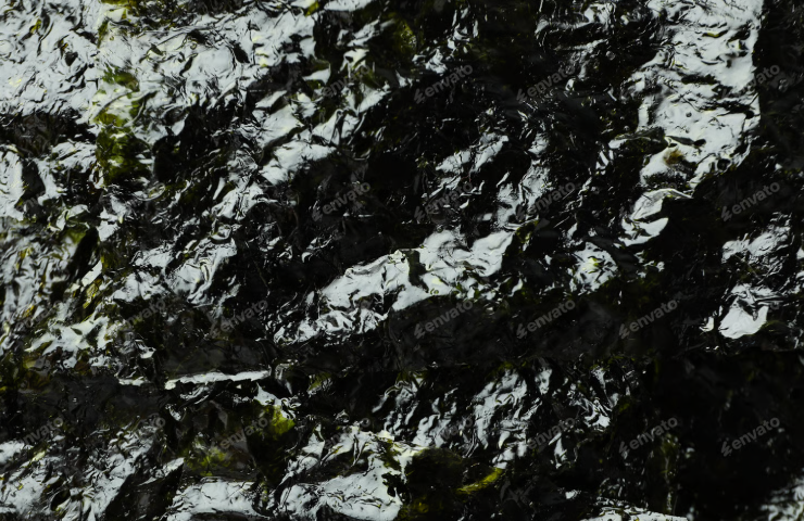 สาหร่าย: ของดีจากทะเล ที่มากกว่าความอร่อย